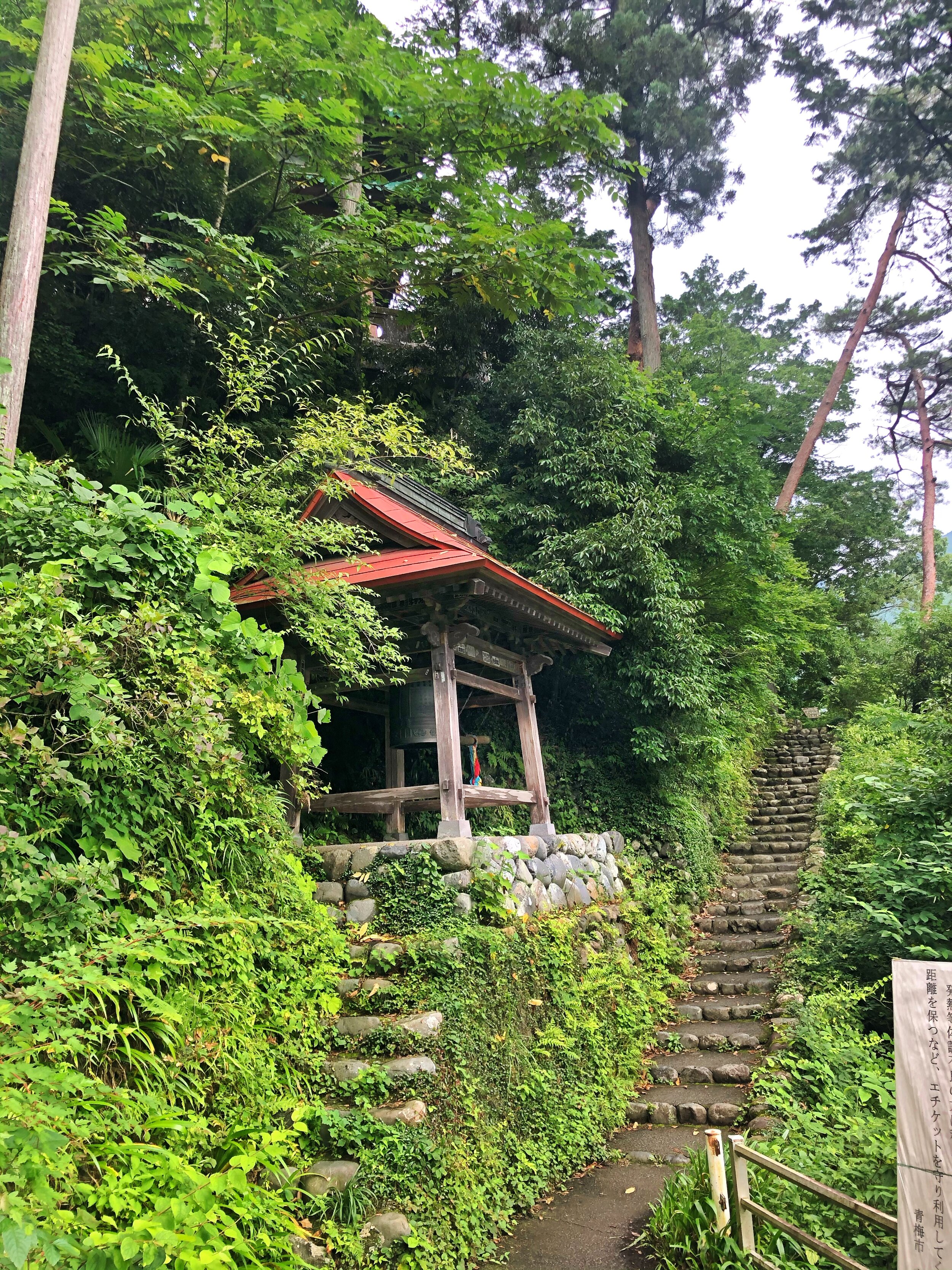 Sawanoi Sake - a perfect day trip from Tokyo to taste Japanese